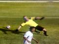 Fifa Goal