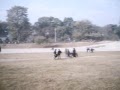 gora in palay