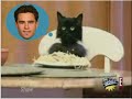 The Spaghetti Cat, the Vancouver Canucks and ABBA The Spaghetti Cat, the Vancouver Canucks and ABBA