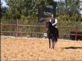 Video de nuestro primer caballo Juglar