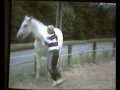 my horse kyzer, no bridle, we have fun my horse kyzer, no bridle, we have fun