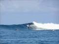Fiji Surfing Rendezvous photo gallery