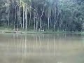 places :: brazil :: sp :: embu :: pesqueiro triângulo