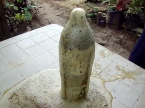 how to grow effective microorganisms