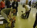 Brompton Challenge Brompton Challenge