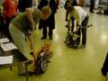 Brompton Challenge