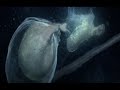 Bj�rk - Nature Is Ancient