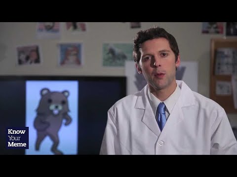 knowyourmeme. know your meme - Join us as we take a look at the Internet's most beloved bear!