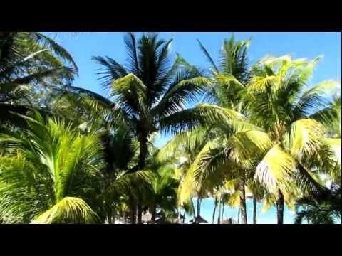 Youtube Video Ea3Yf6_3dWg
