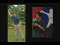 Healing Stories Using Spring Forest Qigong