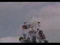 Hirobo Shuttle RC Helicopter at Quezon City Hall
