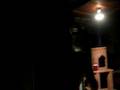 videos de debs party