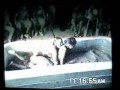 LUXOR MUD WRESTLING
