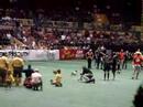 Renegades Half Time Dog Race