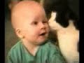 A cats Story