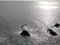 cliffs-of-s-o-miguel-island-in-the-azores-.html