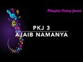 PKJ 3