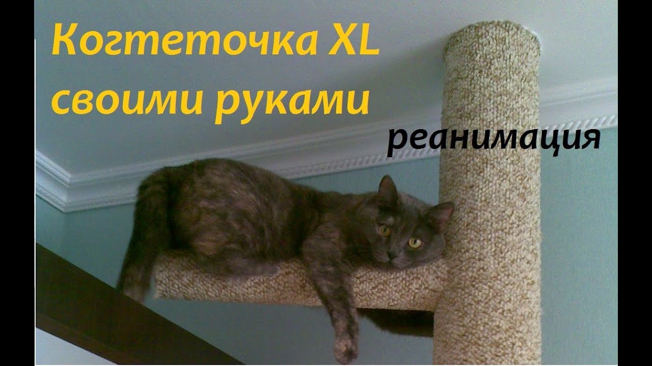 Когтеточка своими руками