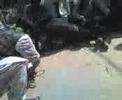 The bull Part II Of Gulistan-e-Jauhar! The bull Part II Of Gulistan-e-Jauhar!