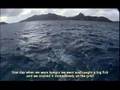 Anguilla Kitesurfing and Kite Surfing
