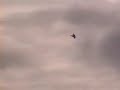 rc-jets.html