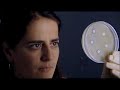 Industrielle Biotechnologie (1/5) - Kosmetik