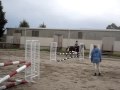 Ruby & Saroose the goose { 70cm Jump Course}