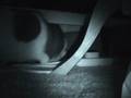 Cat crawling out from under desk