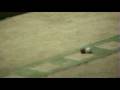 Precision Shootout- www.BocceVolo.com-www.BouleLyonnaise.com