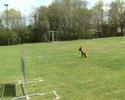 aiepeur ring3 longueur