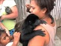 Roatan Monkey's