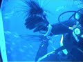 Submarine Dive Canary Islands
