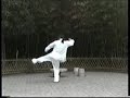 ?????Chen Style?????? ????Canon Fist 71 form ?????Chen Style?????? ????Canon Fist 71 form