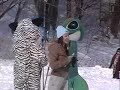 Windham Geico