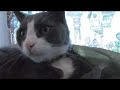 SEVEN WISER EPK SEVEN WISER EPK