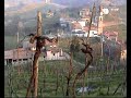 ROLLE CISON DI VALMARINO