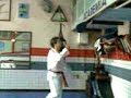 Taekwondo By: Niki ;)