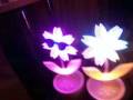 videos de ハマクリ Vol.4 / 2008.12.20.sat