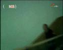 REC o MIB?? REC o MIB??
