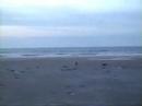 Saltum Strand