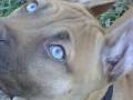videos de In Loving Memory.wmv