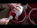 Equine Destiny "Official Trailer" - free flv video @ vwatch.tv