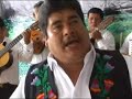 GORRION PAROBAMBINO - LUIS PARDO