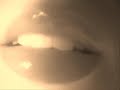 The Lips Introduction The Lips Introduction