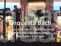 ORQUESTA BACH    CASTILLOS DE HIELO