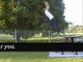 Back-Flip-Tutorial