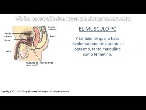 ejercicios kegel eyaculacion precoz