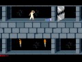Prince of Persia 1989 Level (7/12)