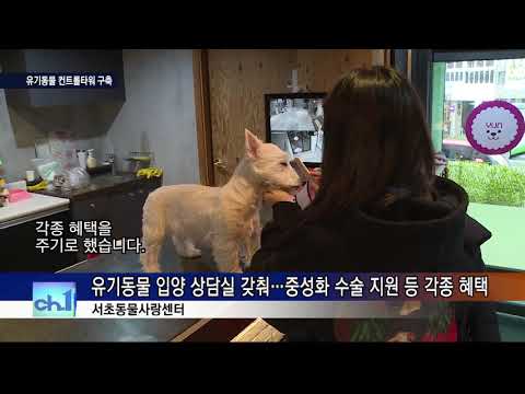 인사이드서초 365회