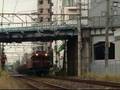 5388レ 安中貨物 EF81 91